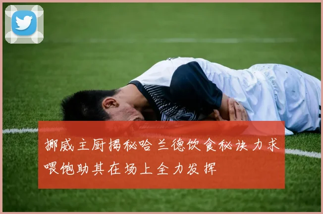 挪威主厨揭秘哈兰德饮食秘诀力求喂饱助其在场上全力发挥